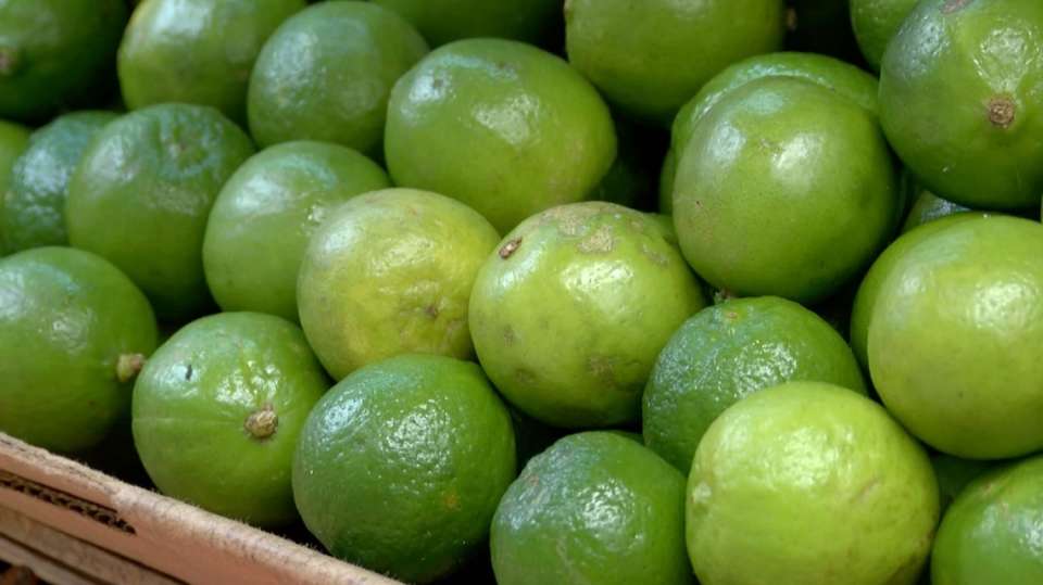 Afecta a vendedores en Edomex alto precio del limón