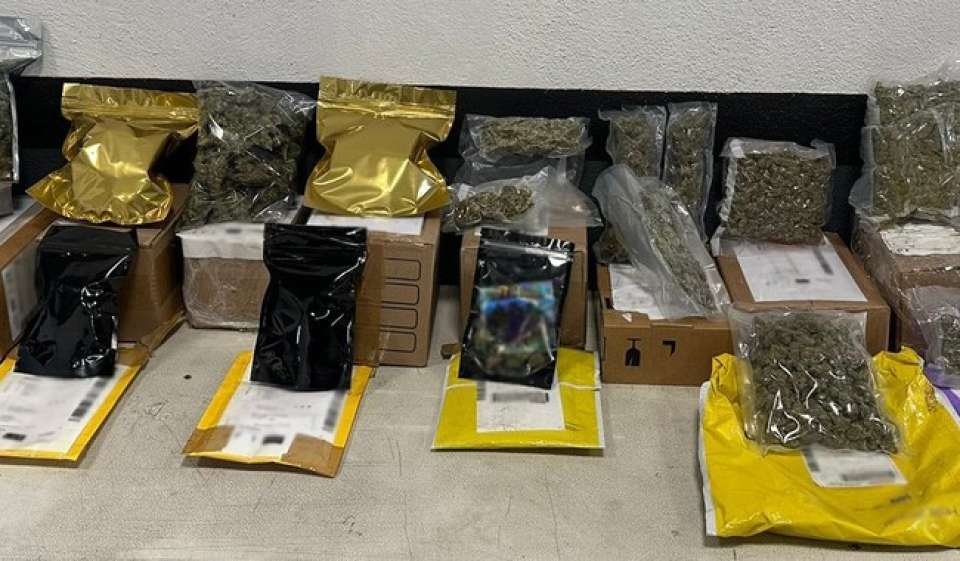 En Nuevo León, Guardia Nacional detecta 29 envíos con aparente marihuana en empresa de mensajería