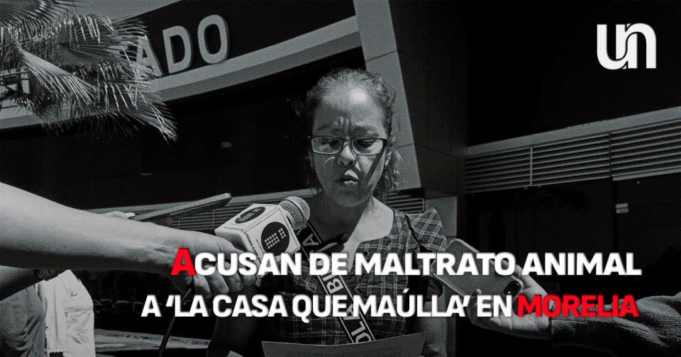 Acusan de maltrato animal a ‘La Casa que Maúlla’ en Morelia