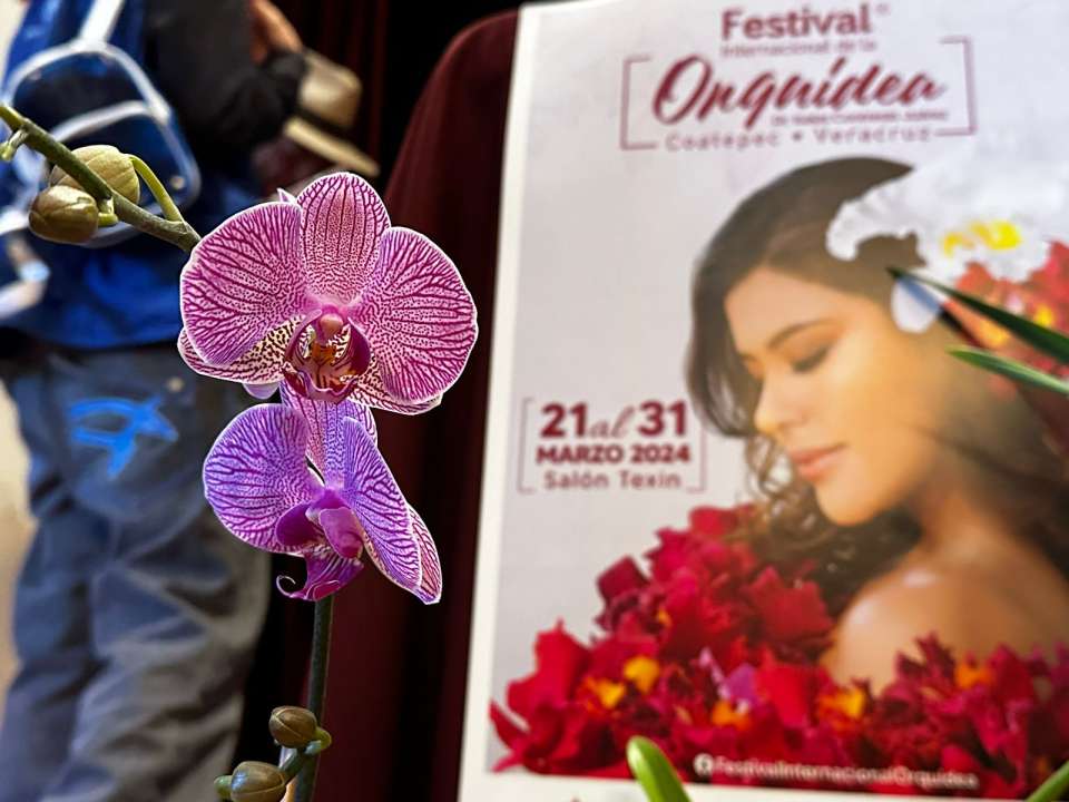 Michoacán, presente en el Festival Internacional de la Orquídea de Veracruz
