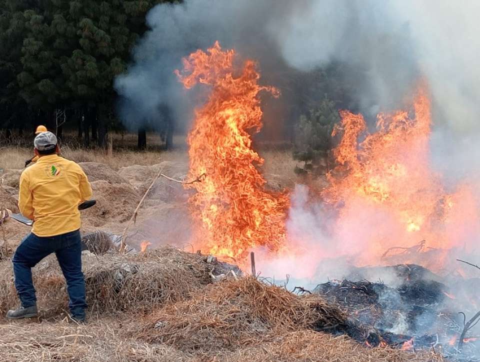 #MedioAmbiente | Siguen bajos los casos de incendios en Edomex