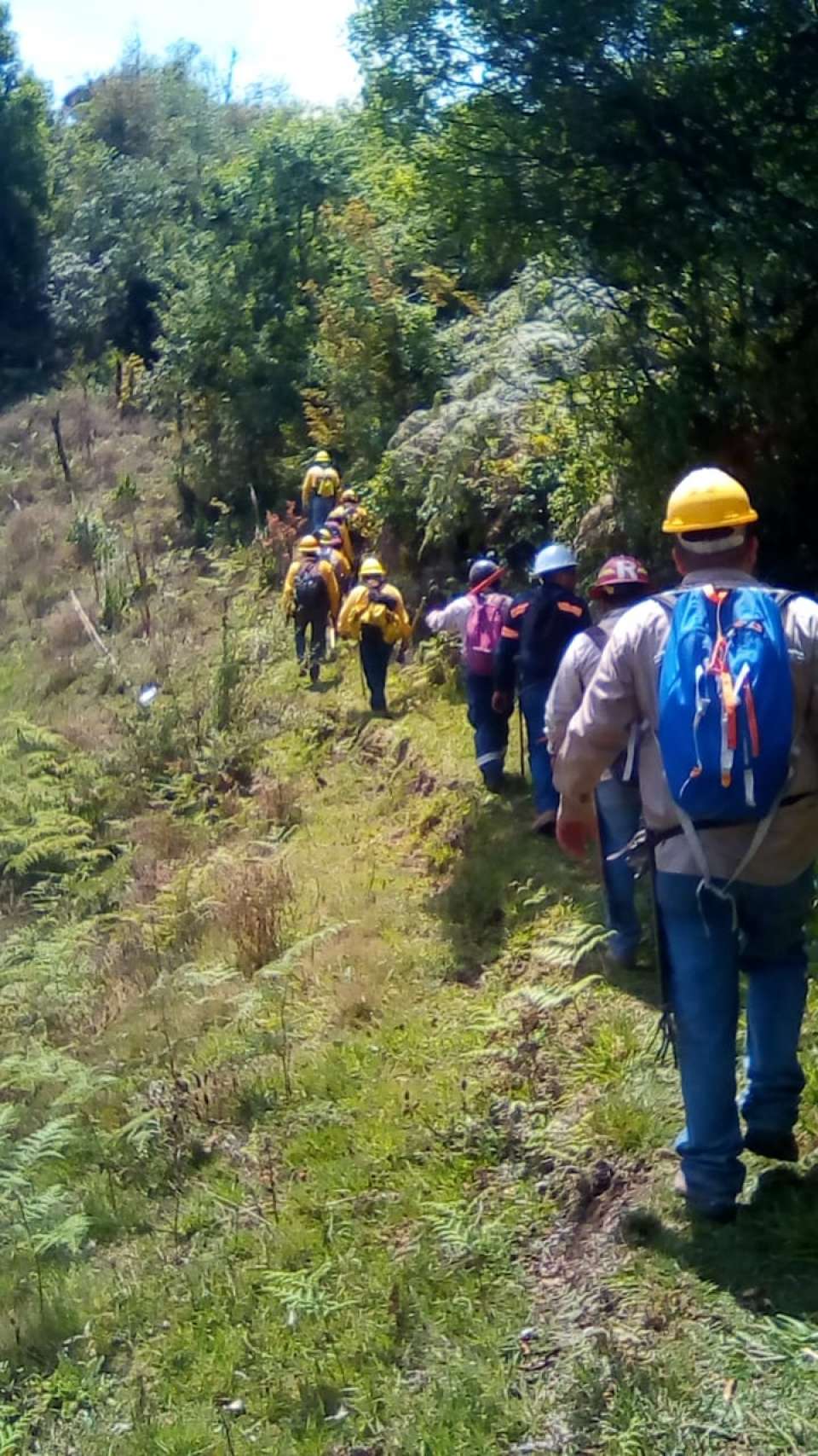 Continúa la atención de un incendio forestal en Teopancingo.