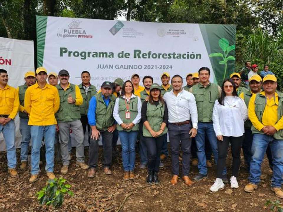 Suma gobierno de Puebla más de 2 millones de árboles plantados en 2023