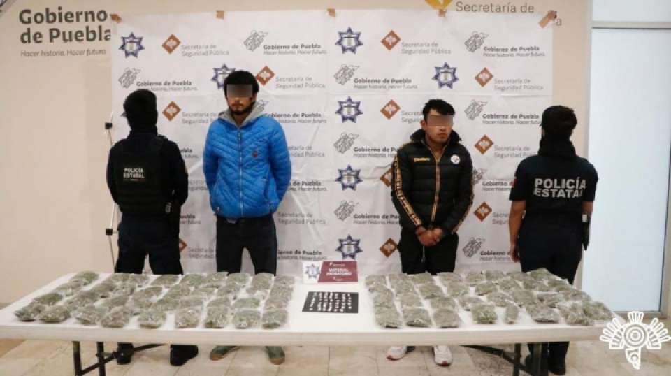 Presuntos distribuidores de droga por internet, capturados por Policía Estatal.