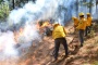 Se acerca Edomex a 20 mil hectáreas afectadas por incendios