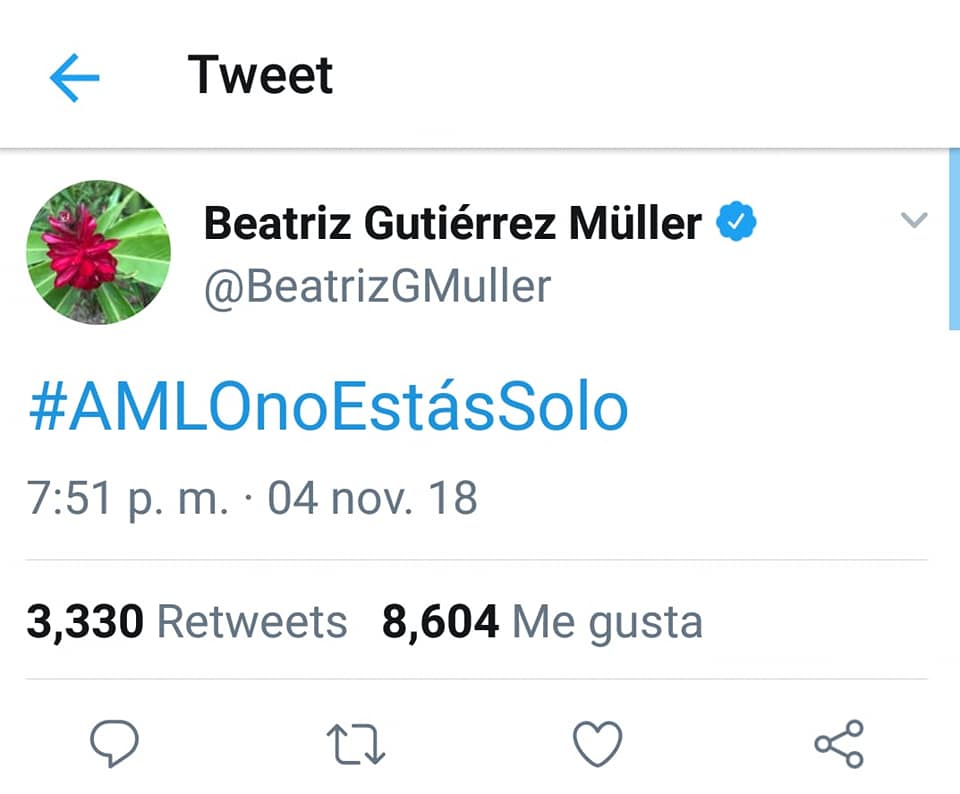 AMLO_solo_2 AMLO_solo_2