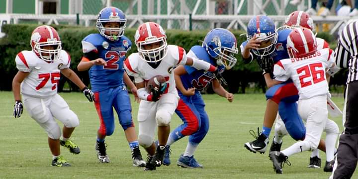 IMG-20190126-WA0026 IMG-20190126-WA0026