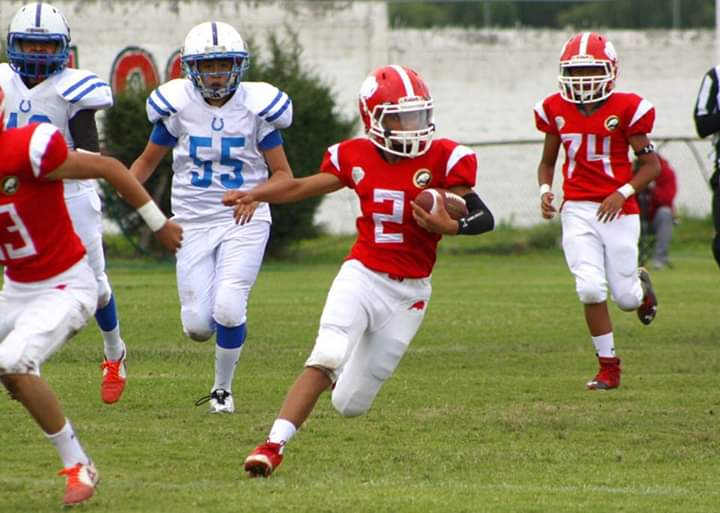 IMG-20190126-WA0029 IMG-20190126-WA0029