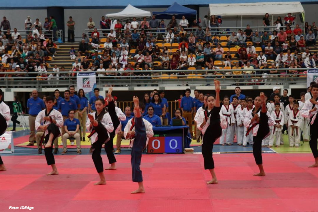 tkd3