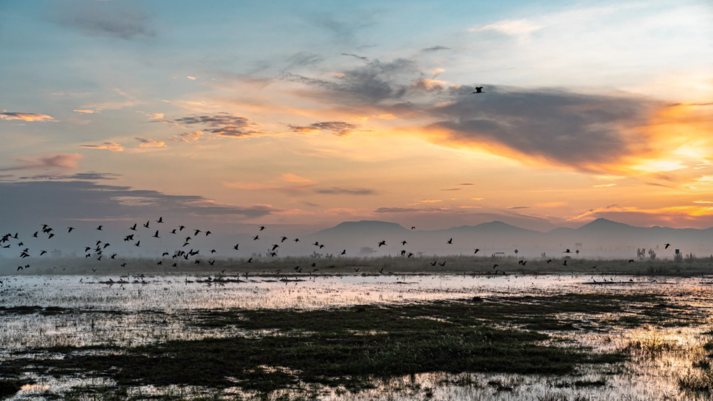 #Nacional | Declara SCJN al Lago de Texcoco como Área Natural Protegida