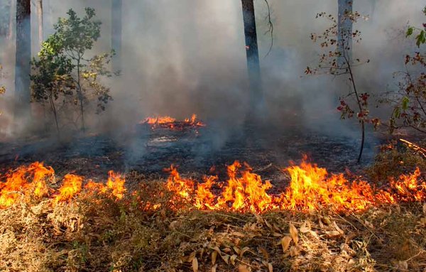 Pastizales y basura disparan incendios; Tulancingo y Santiago acumulan 916 emergencias en 2026